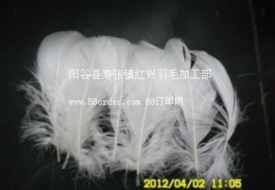 S(yng)(yu)|(zh)İZɢh ṩ(yu)|(zh)Ȼԭq