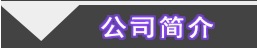 (zhun)I(y)yƷӹ