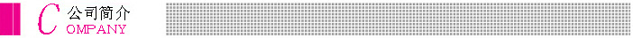 公司簡介